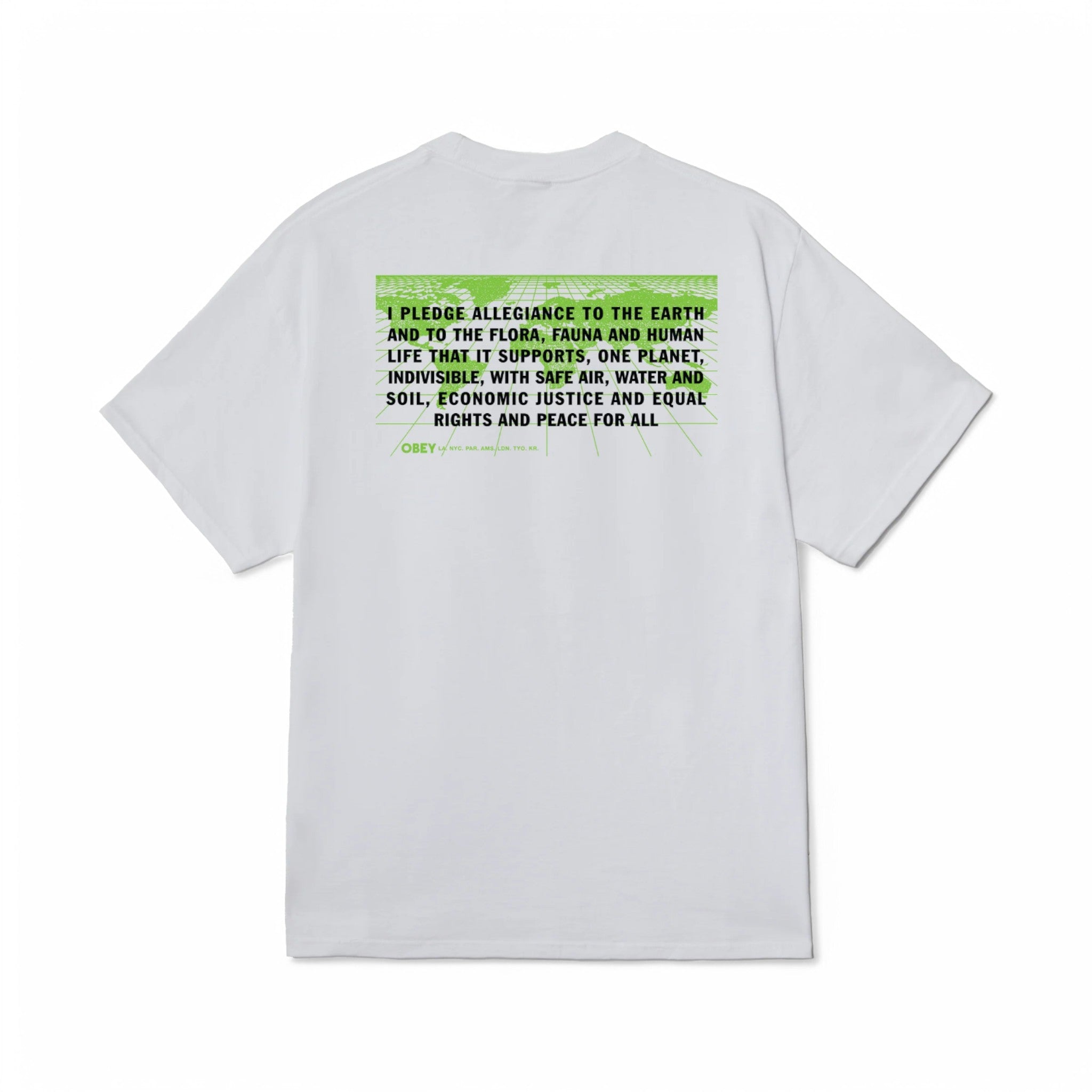 Pledge Allegiance Classic T-Shirt