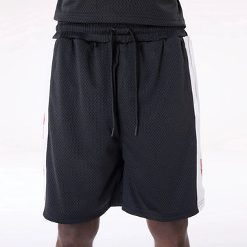 Chicago Bulls NBA Graphic Black Mesh Shorts