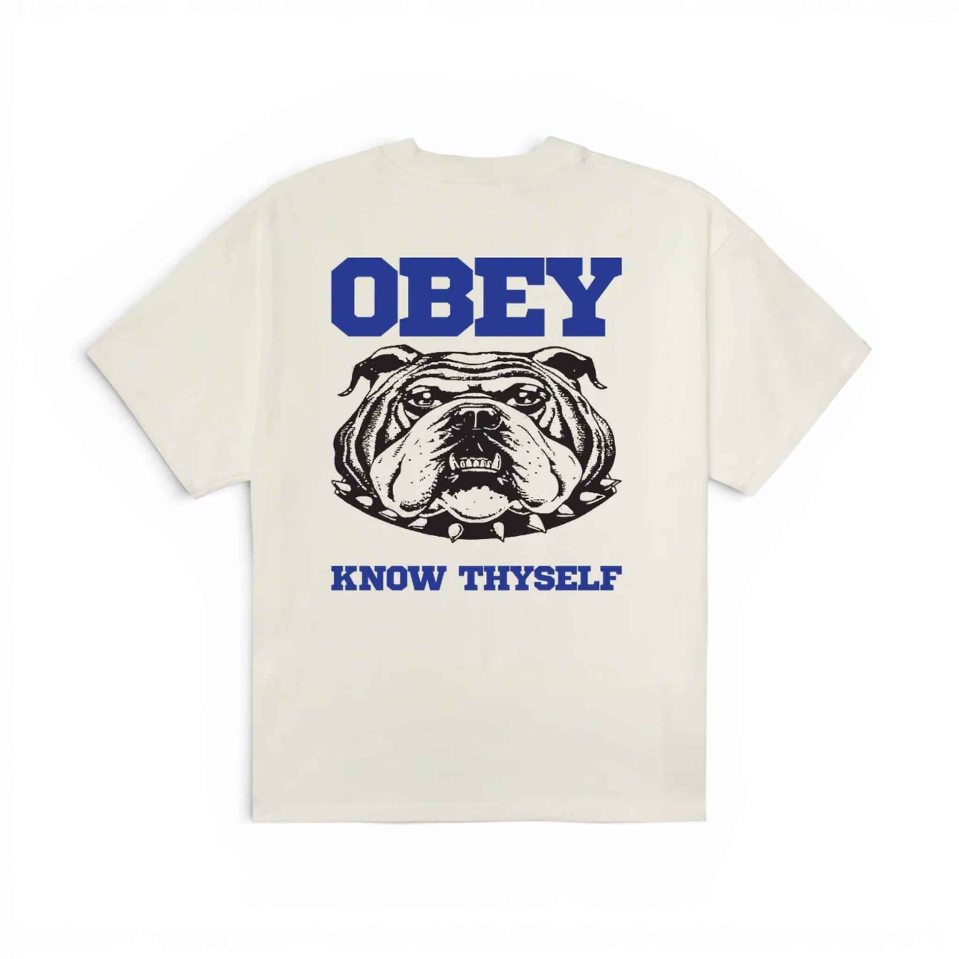 Know Thyself Heavyweight T-Shirt
