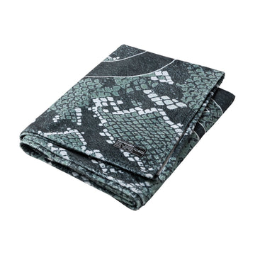 Beachtowel Logo Python