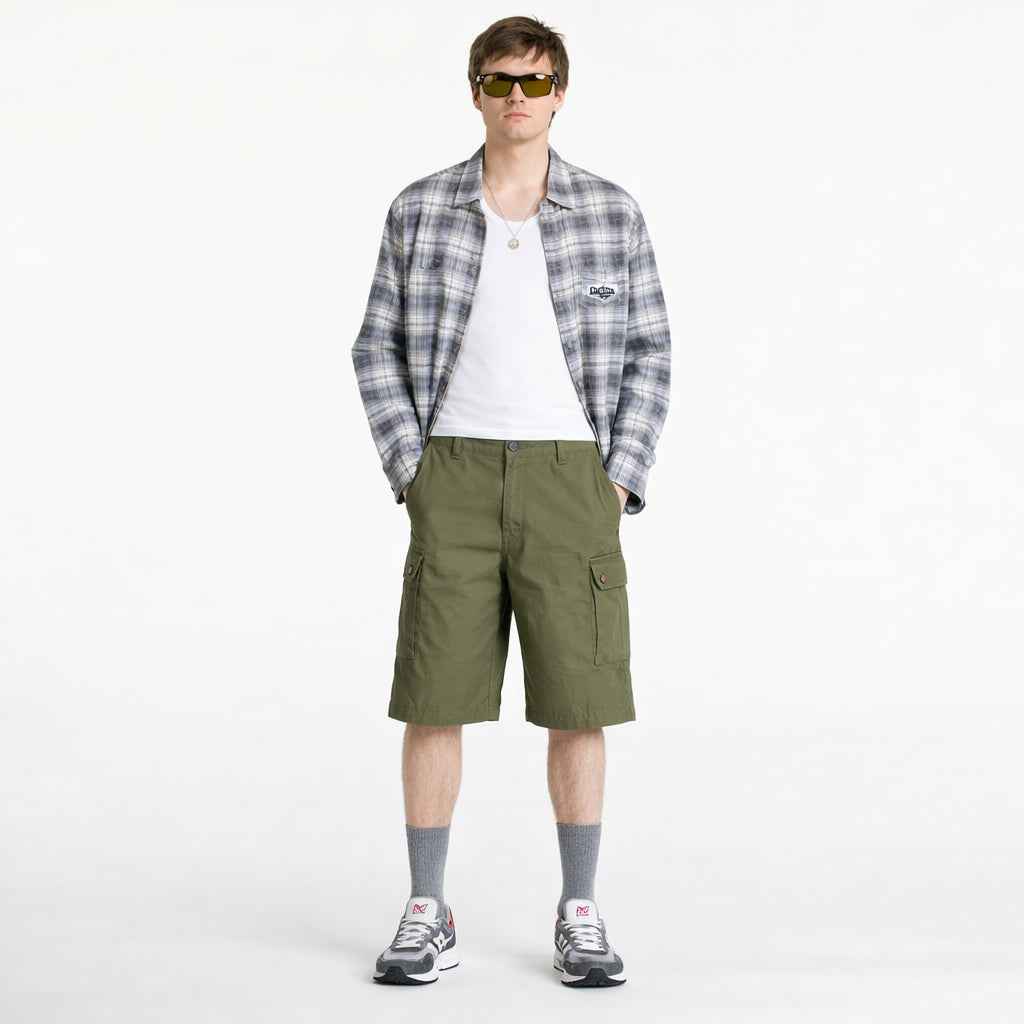 Eagle Bend Shorts