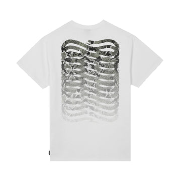 T-Shirt Ribs Python